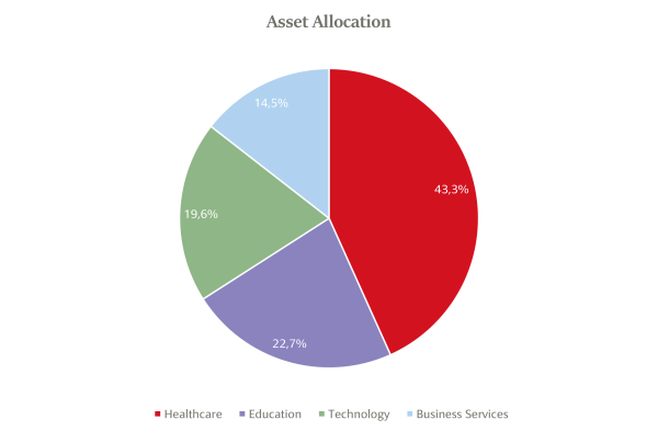 © null Asset Allocation Private Equity